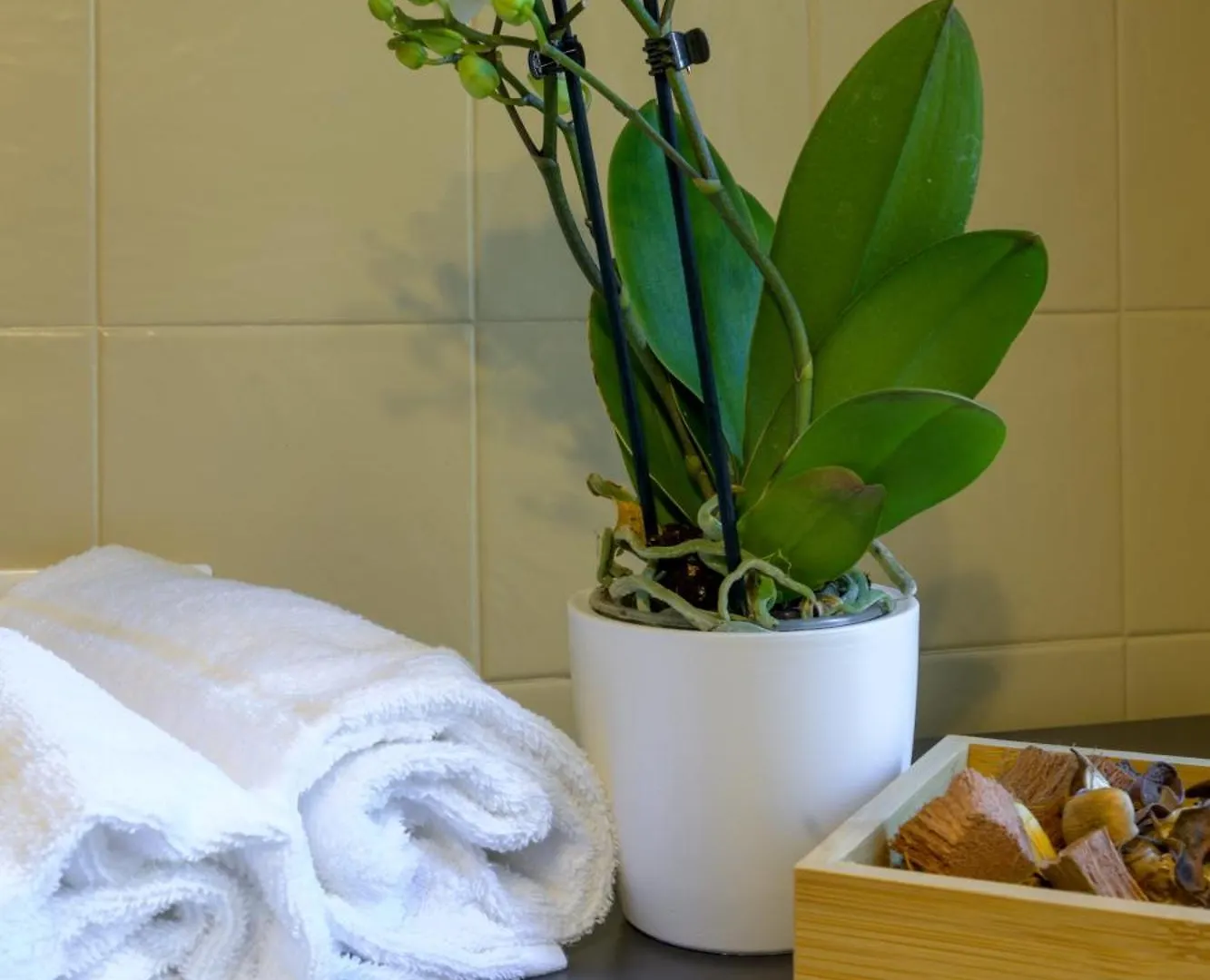 Apartamento Ca Zianini Venecia